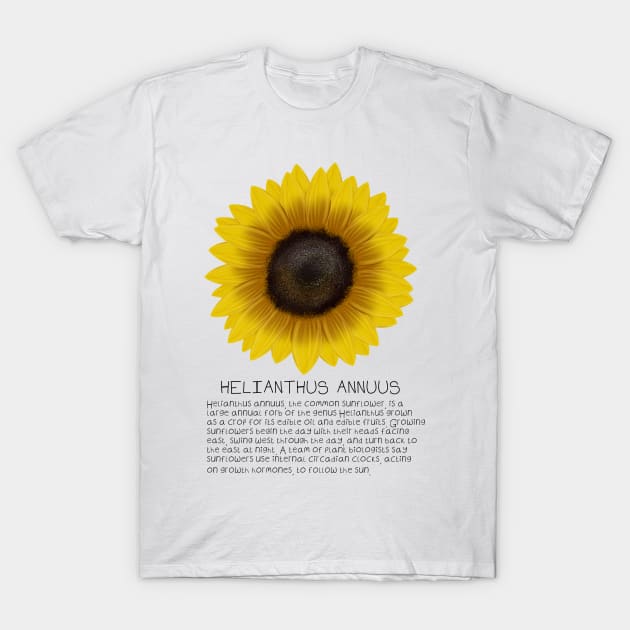 Yellow Sunflower Genus and Description Print T-Shirt by DesignsBySaxton